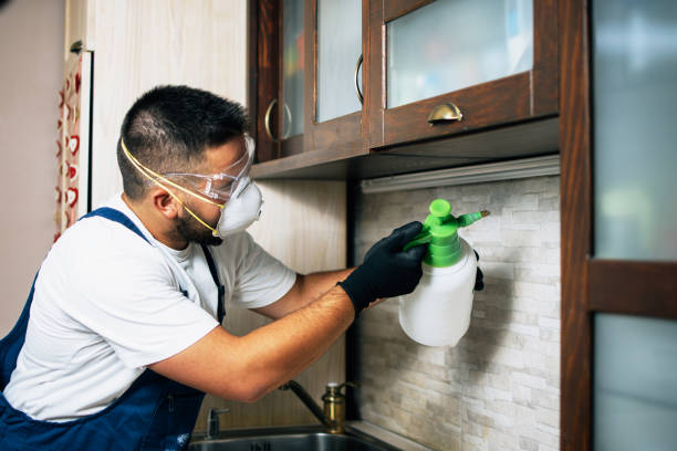 Pest Control Cost in Kernersville, NC